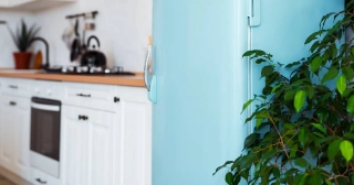 A stovetop set on a butcher block counter and oven in a white kitchen, with a robin’s egg blue refrigerator and green ficus in the foreground.