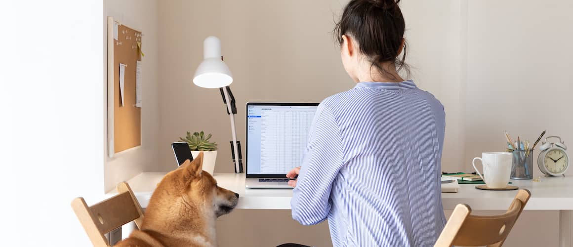 A woman working from home with a Shiba Inu dog next to her, indicating a remote work setup in a comfortable environment.
