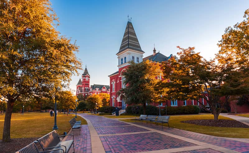 Brick path leading to a university in autumn.
