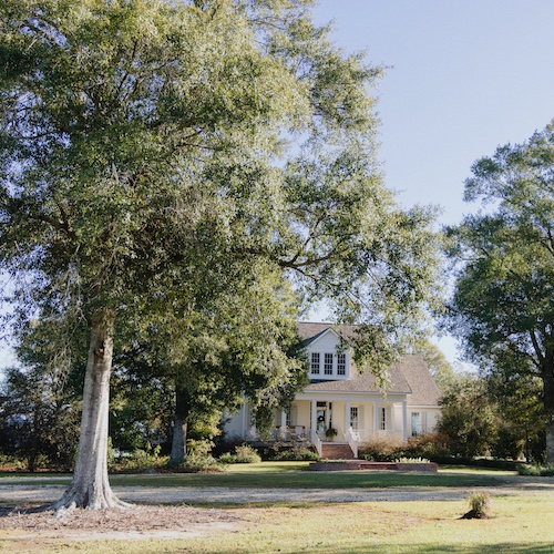 White house with large green front lawn with large trees.