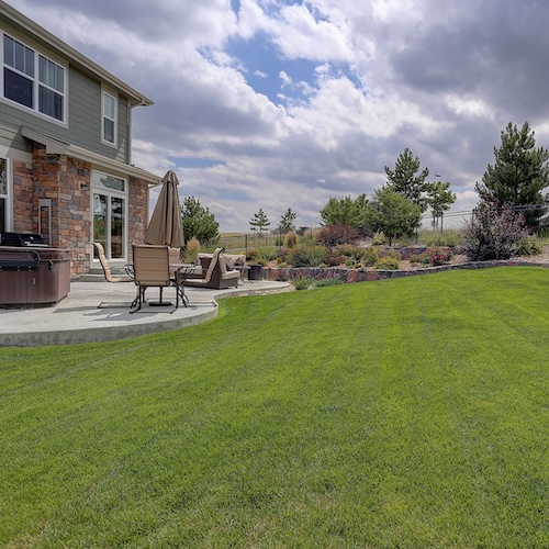 Home with many windows and a large drought-tolerant lawn.