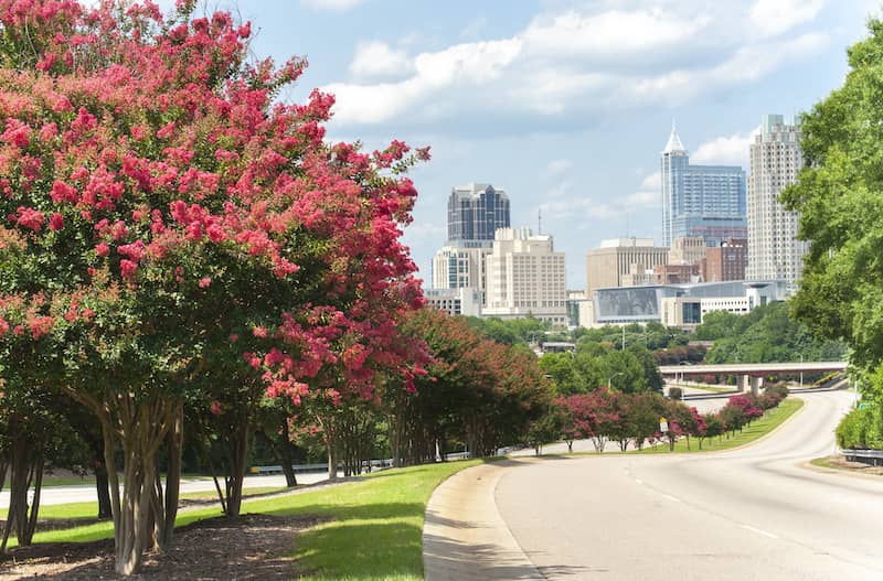 RHB Assets From IGX: A vibrant shot of downtown Raleigh, North Carolina, with blooming crepe myrtle trees.