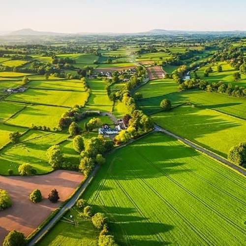 Aerial view of lush green fields and gently rolling hills in the serene countryside.