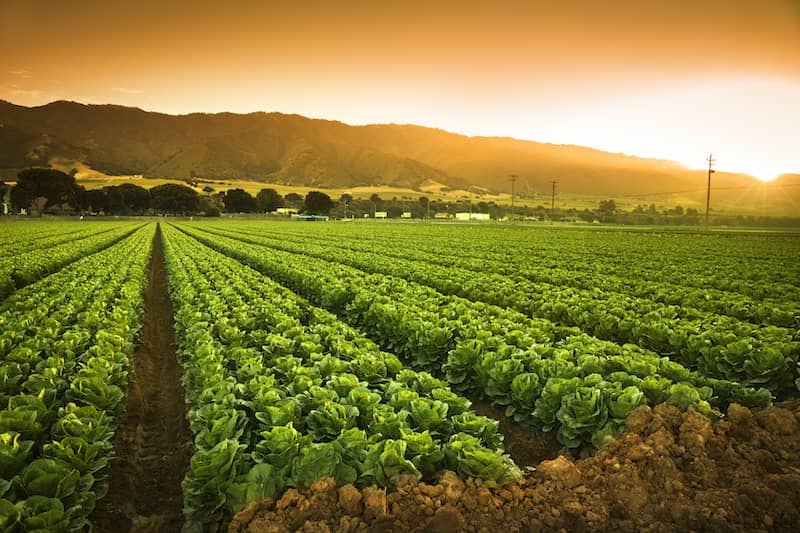 RHB Assets From IGX: Salinas, California, landscape with agricultural fields and mountains.