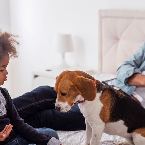 A family with a dog, suggesting a family accompanied by a pet in a residential setting.
