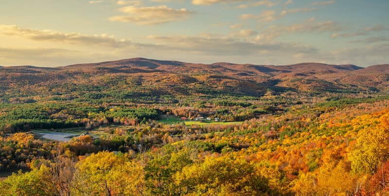 Autumn forest in The Berkshires Region, Massachusetts.