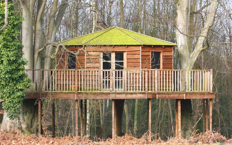 RHB Assets From IGX: Unique treehouse with a wooden exterior and a shingled roof, nestled among green leaves in a tree canopy.