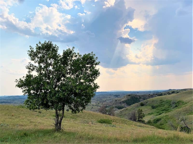 RHB Assets From IGX: Theodore Roosevelt National Park in North Dakota with rugged landscapes