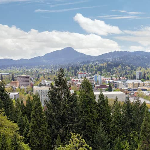 RHB Assets From IGX: Hiker on a trail with a beautiful mountain view