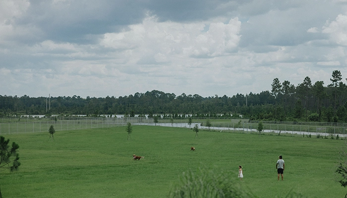 Couple with dogs playing on large green field.