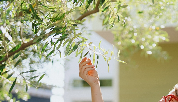 Woman with red glasses reaching out towards a tree branch.