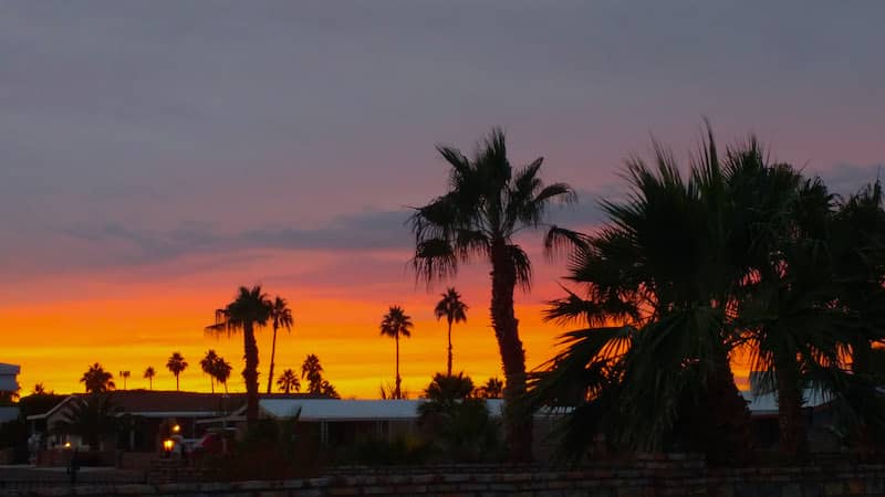 RHB Assets From IGX: An Arizona sunset with silhouettes of palm trees against a vivid sky.