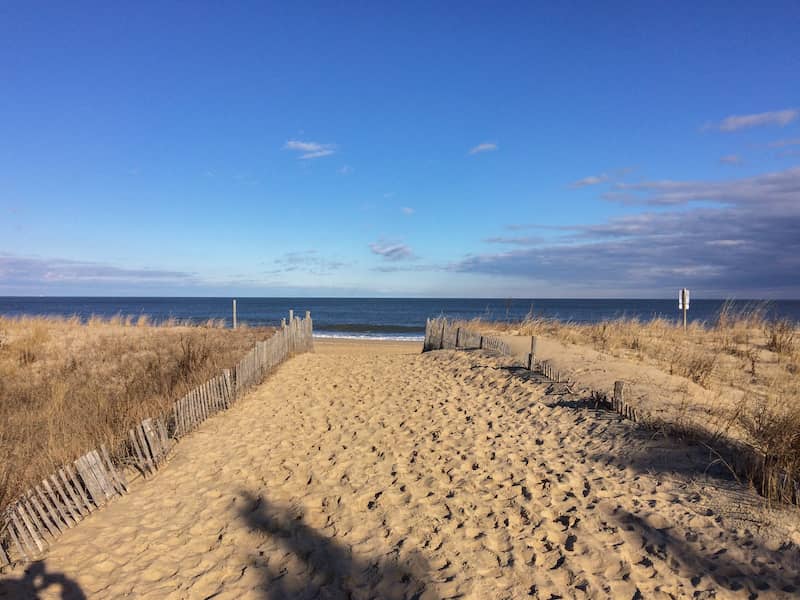 RHB Assets From IGX: Cape Henlopen State Park in Lewes Delaware