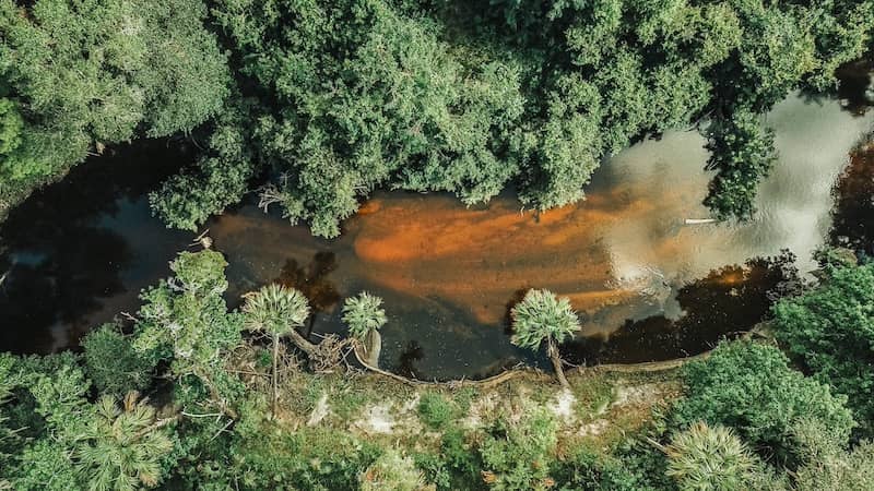 Aerial view of Alafia River in Florida, lined by forest on either side.