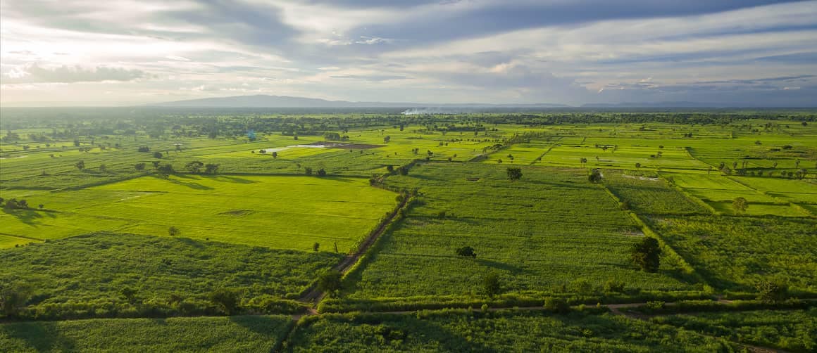 An aerial view of land, indicating potential for development or investment in real estate.