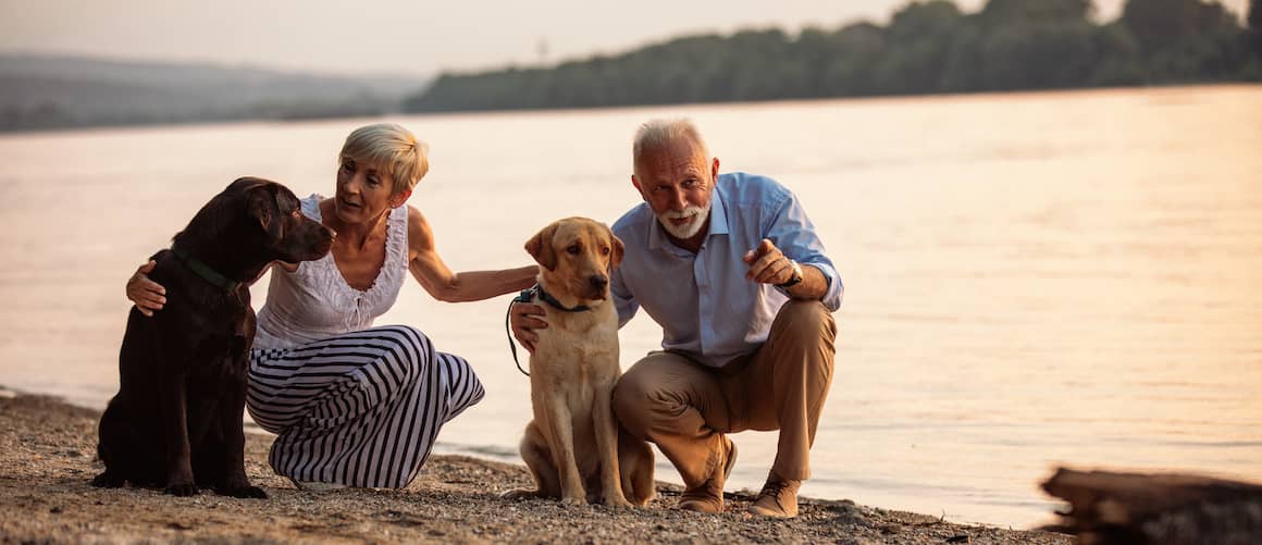 Senior couple with dogs on the beach at sunset.