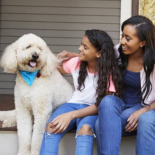 Exploring the Home Free USA initiative