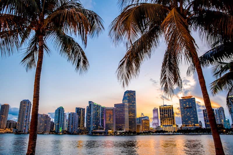 View of the Miami, Florida skyline between two palm trees at sunset.
