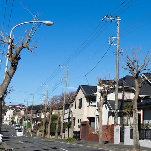 A bustling city street lined with houses and trees, capturing the essence of urban living.