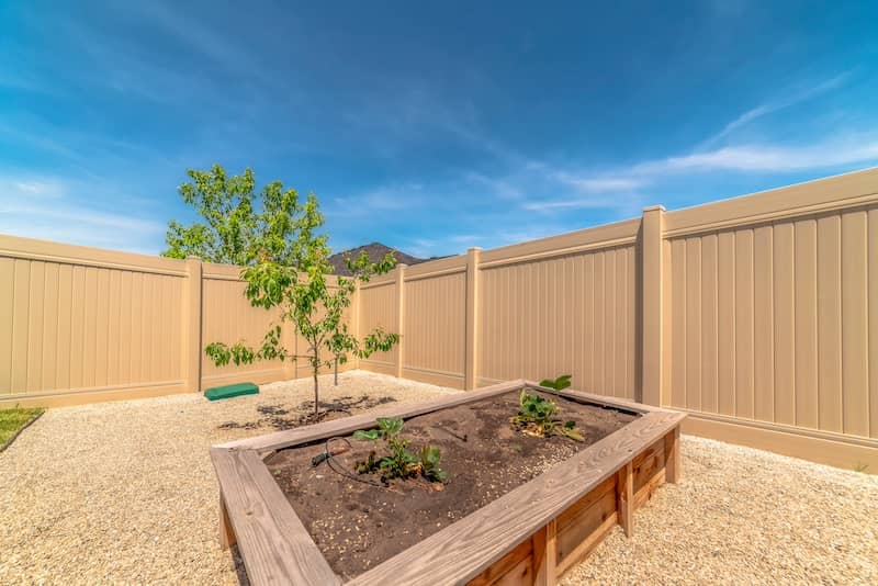 Close up of a raised garden bed beside a young tree