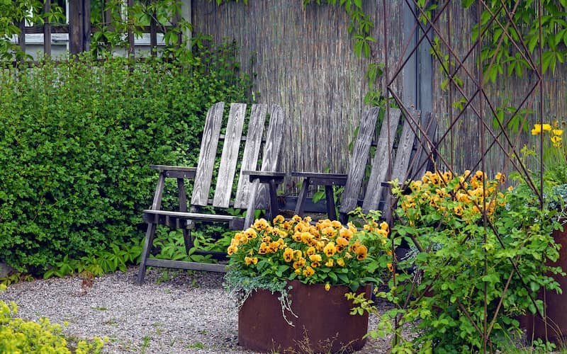 Flowerpots filled with pansies next to two weathered, wooden chairs in a garden landscape.