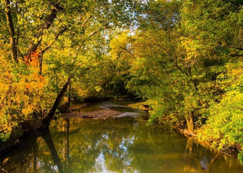 River in Adams County surrounded by trees.