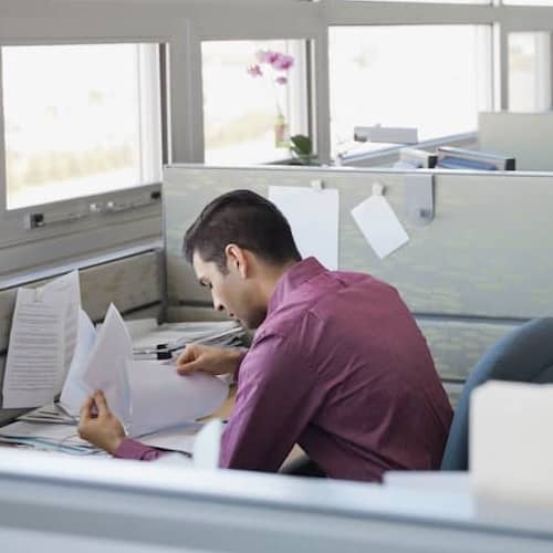 Man working in cubicle in sunny business office.