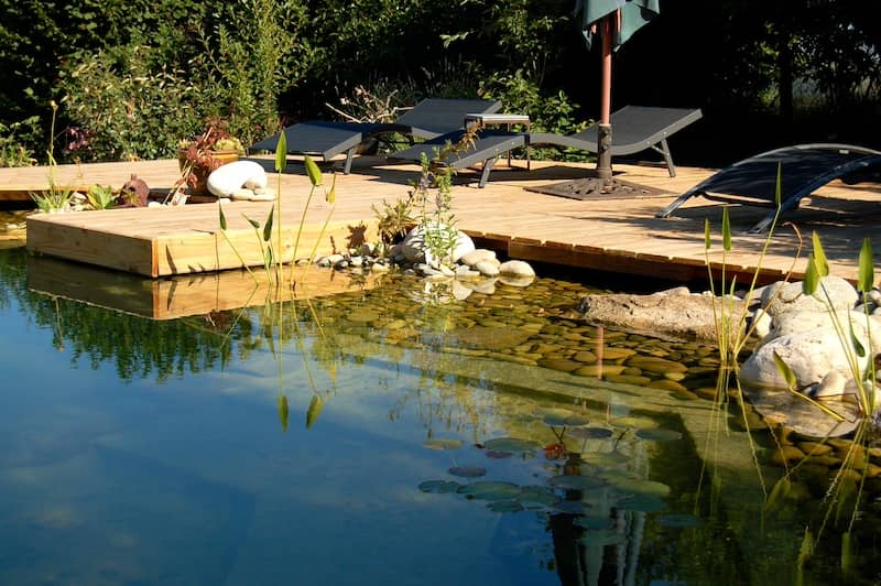 Natural pool with floating deck and rock garden features.