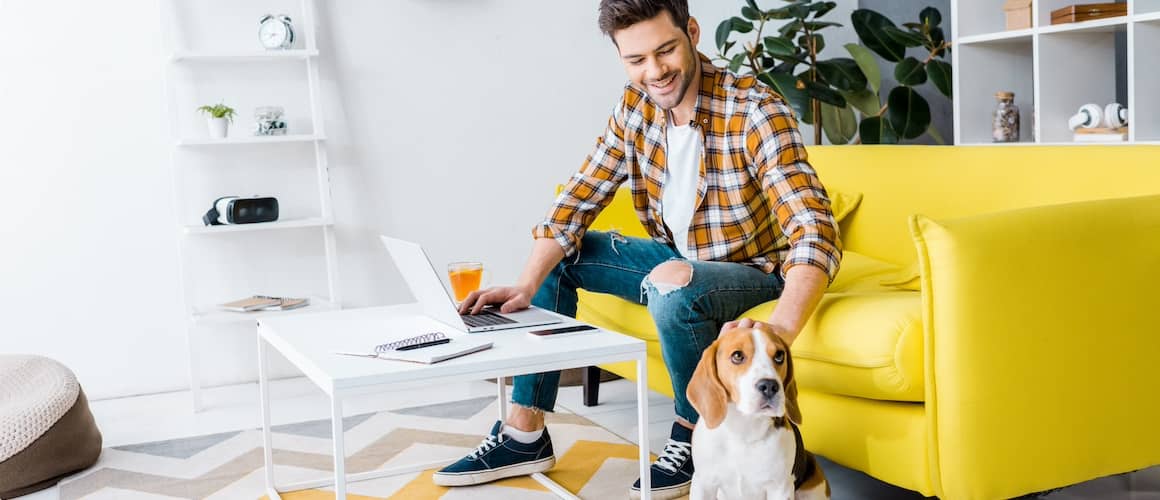 Man sitting on bright yellow couch, working on computer and petting his brown and white beagle dog.