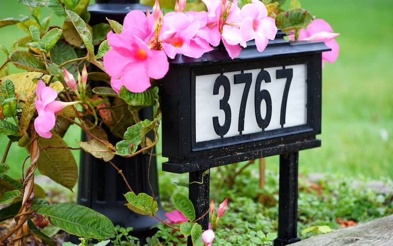 House number plaque in front yard with pink flowers growing around and on top of it.