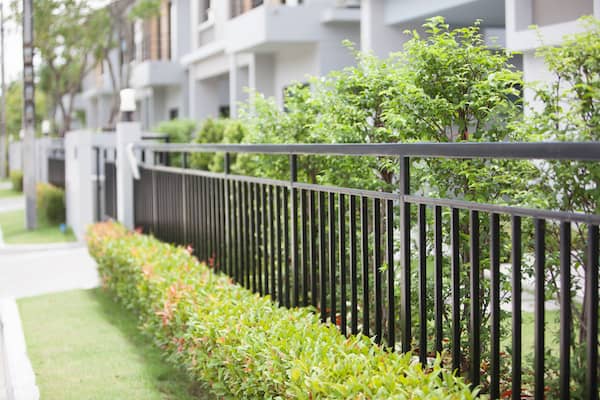 Black metal fence lined with privacy shrubs.