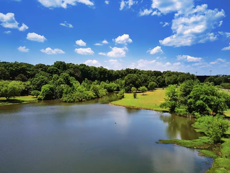 Wide view of a blue lake surrounded by dense green plants and trees under a blue sky.