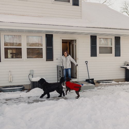 Large black dogs play in snow of backyard while woman holds door open.