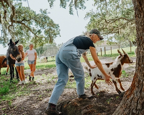 Woman in overalls ushering goats while kids usher donkeys behind them.