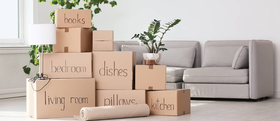 Boxes labeled by room, a rolled up rug and small planter placed in front of a couch and faux tree. 