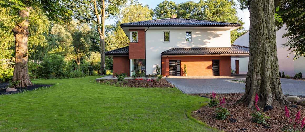 House with large yard in early summer.