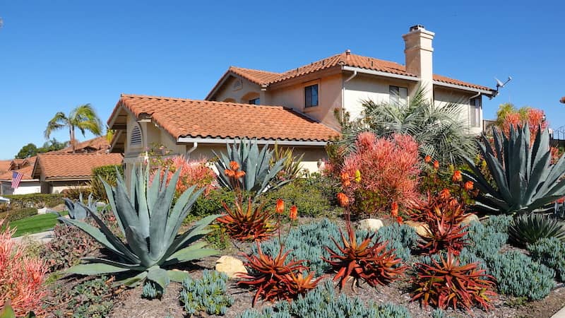 RHB Assets From IGX: A garden with drought-tolerant plants and rocks.