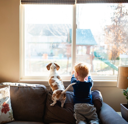 Young boy looking outside a window with a Dachsund.