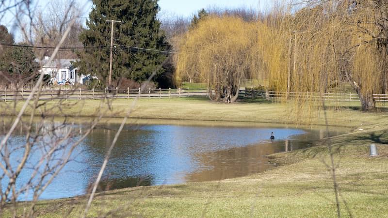 RHB Assets From IGX: Scenic pond surrounded by lush greenery in Canton, Ohio.