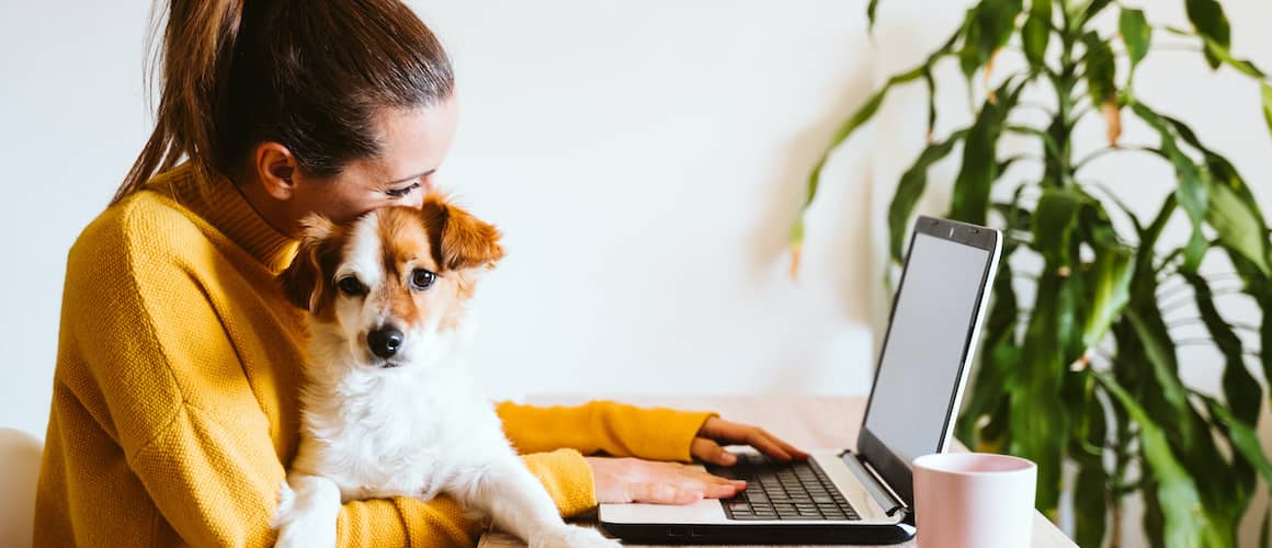 Image of a woman sitting in a yellow chair, with a dog in her lap, working on a laptop.
