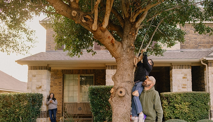 Father lifting son to tree branch while mom watches in background.