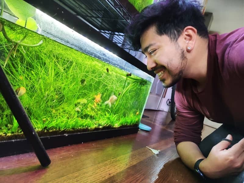 Man smiling at a tank of small fish and greenery.