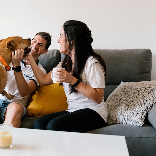 Couple on couch drinking coffee and petting their dog.