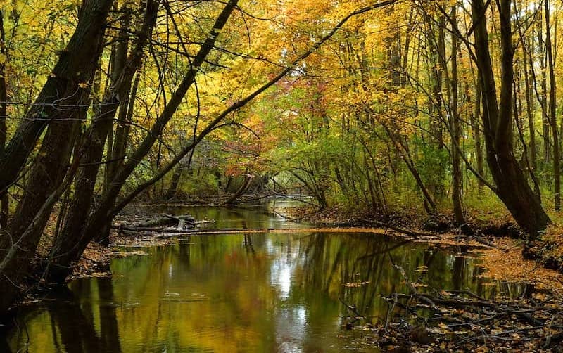 RHB Assets From IGX: Cobus Creek in Elkhart, Indiana surrounded by vibrant autumn foliage.