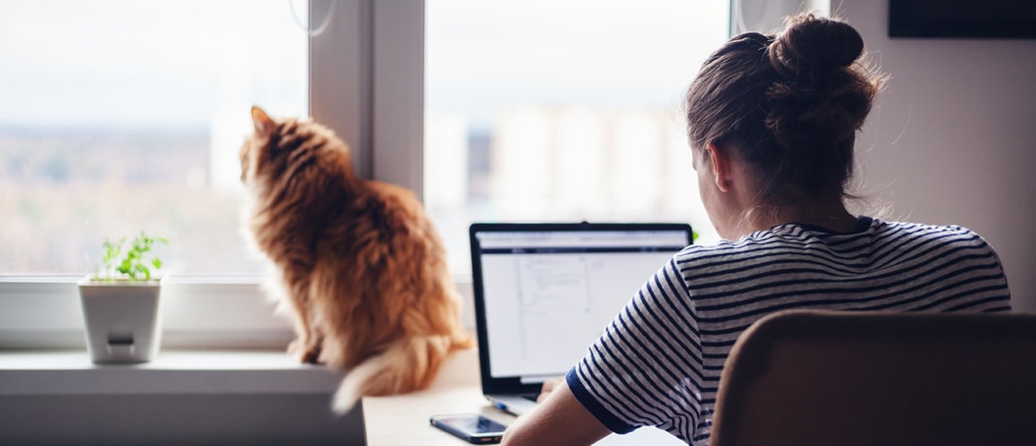A woman working from home on her laptop with her pet cat sitting in front of her.