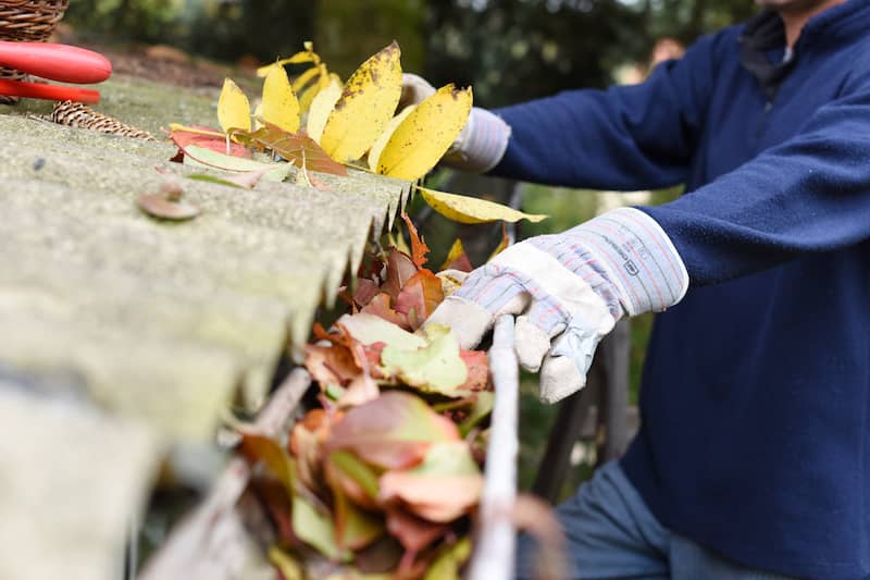 Man wearing work gloves cleaning leaves out of gutters.