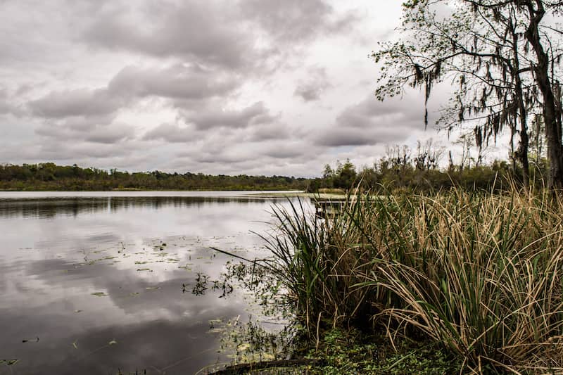 View of Goose Creek.