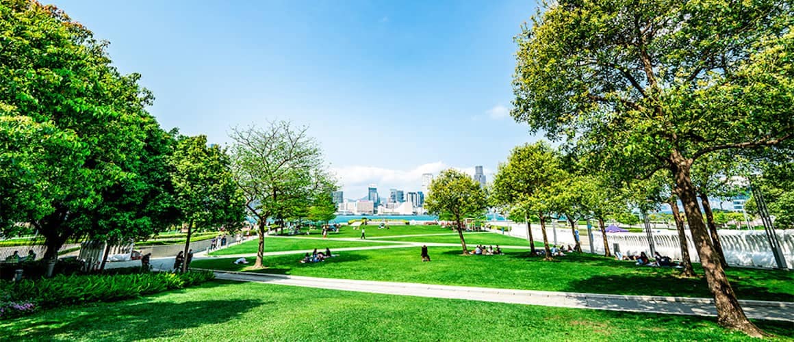 People walking through a large park on a sunny day.