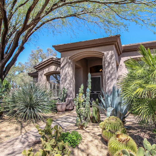 Arizona house with palm trees in yard.