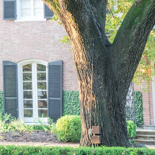 RHB Assets From IGX: Tree with a legal notice attached to its trunk